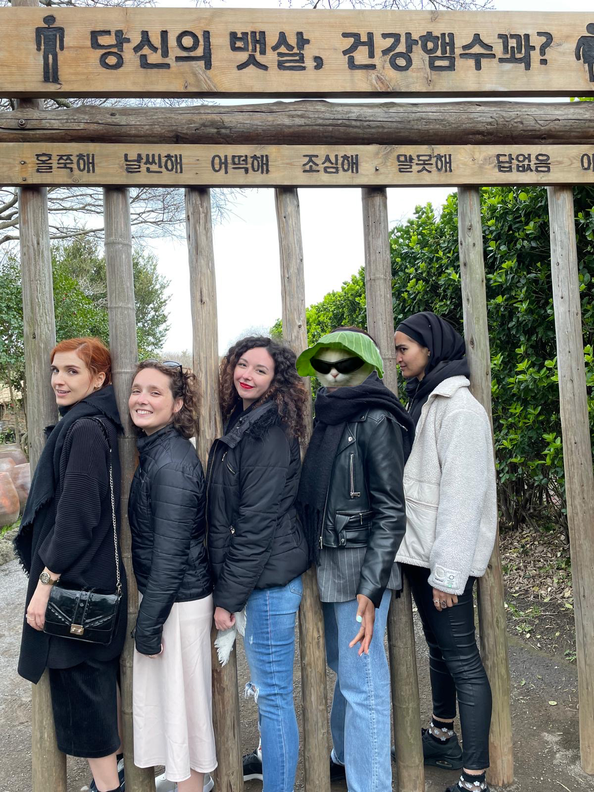 jeju barre bois flou